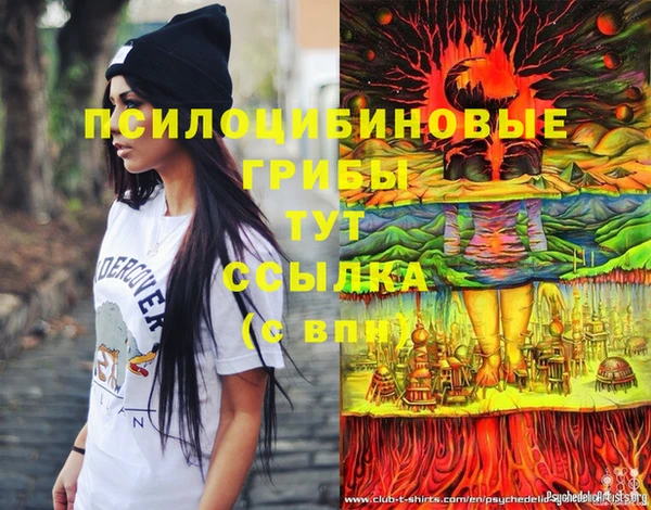крисы Усинск