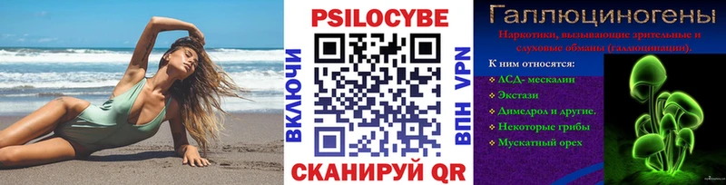 Галлюциногенные грибы Psilocybe  Купить где  Георгиевск 